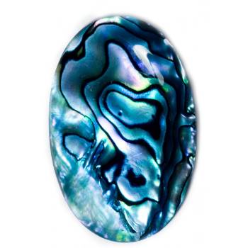 Paua Shell Cabochons