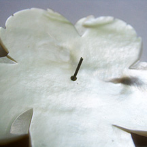 Endless Summer Necklace