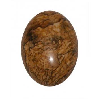 Picture Jasper Cabochons