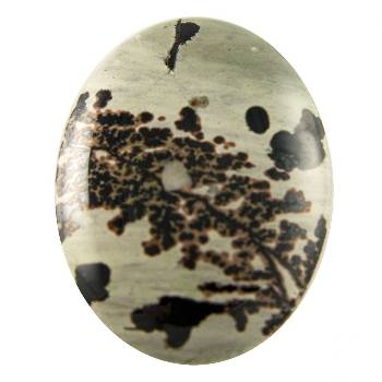 Paint Brush Jasper Cabochons