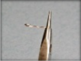  alt=