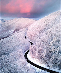 Color Inspiration - Snowy Road
