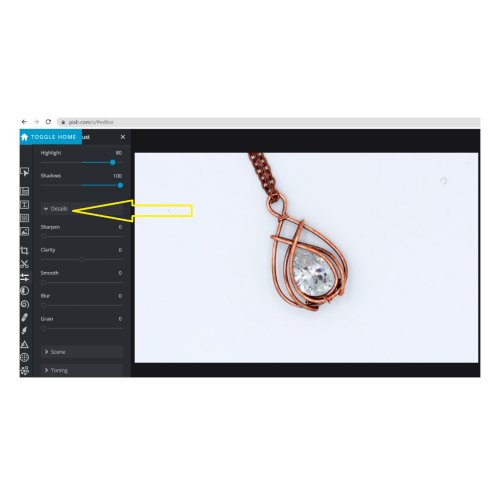 Erika Pal's How to Edit Your Pictures Online for Free - , General Education, , Now click on the option DETAILS.