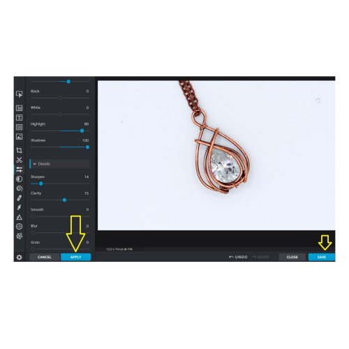 Erika Pal's How to Edit Your Pictures Online for Free - , General Education, , First click on the button APPLY