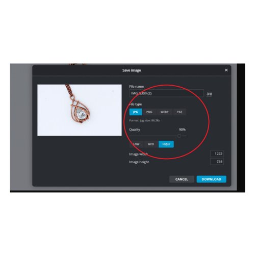 Erika Pal's How to Edit Your Pictures Online for Free - , General Education, , I will leave the JPEG option for the file type.