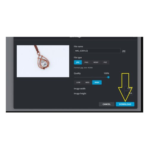 Erika Pal's How to Edit Your Pictures Online for Free - , General Education, , Now all you need to do is to download your picture and it is ready.