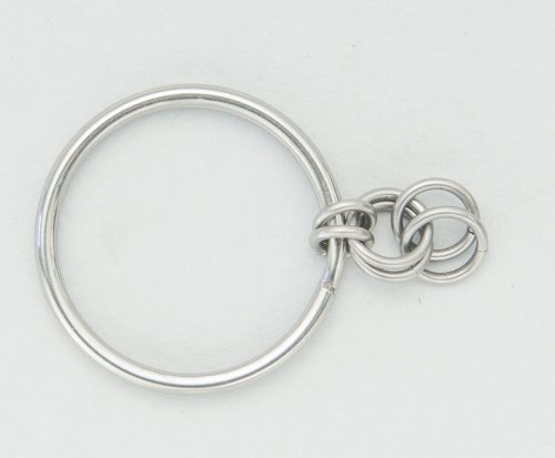 Kylie Jones's Stainless Steel Beaded Chain Maille Keyring  - , Chain Maille Jewelry, Making Chain, Chain Making , Add another ring in the same place.