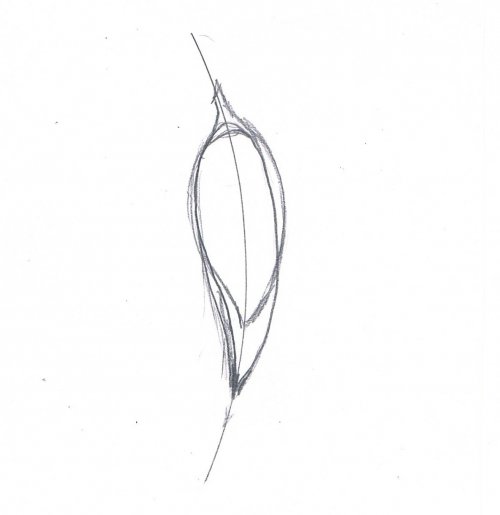 Judy Larson's Separating Distinct Textures on a Single Piece of Metal - , Wire Jewelry Design, Texturing,  draw the bench block curve on a piece of paper to use as a design starting point. 