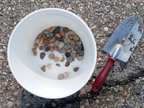 Judy Larson's After the Rain - Found Treasures - , General Education, Design, , put them on a bucket