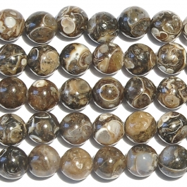 Turritella Agate 6mm Round Beads - 8 Inch Strand