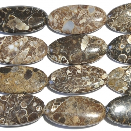 Turritella Agate 15x30mm Oval Beads - 8 Inch Strand
