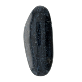 43X18mm Pietersite