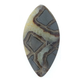 55x28mm Septarian