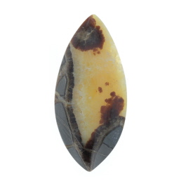 57x26mm Septarian