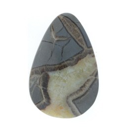 46x31mm Septarian