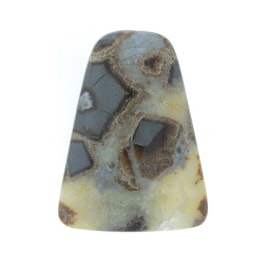 49x36mm Septarian