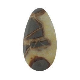 46x24mm Septarian