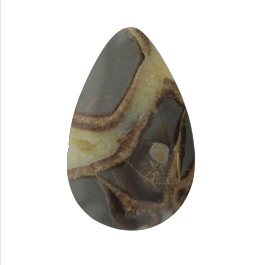 44x28mm Septarian