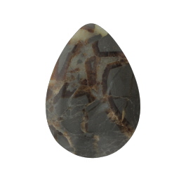 40x29mm Septarian