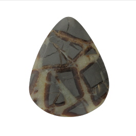 47x38mm Septarian
