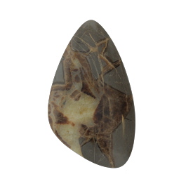53x31mm Septarian