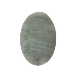 32x22mm Green Petrified Wood