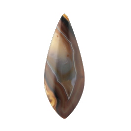 55x21mm Montana Agate