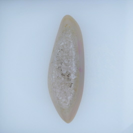 48x16mm Polished Druzy