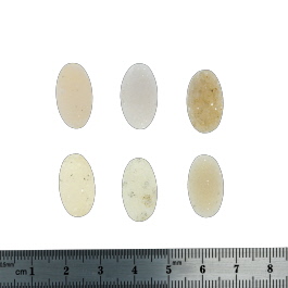 19X11 EACHmm Bezel Edge Druzy Set Of 6