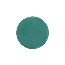1430 Spruce Green Thompson Opaque Enamel