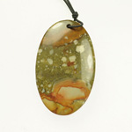 42x32mm Rocky Butte Picture Jasper OOAK Pendant