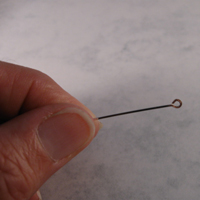 Dangling Circles Earrings