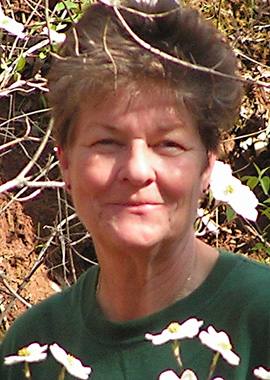 June Artist of the Month Llewellyn Alspach