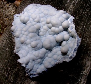 Botryoidal Agatized Coral