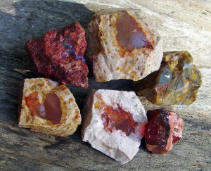 A few pieces of Mexican pumice matrix, showing vugs filled with jelly opal.