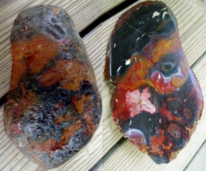 Stromatolite jasper