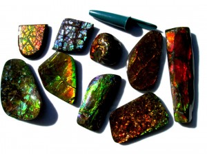 Freeform ammolite cabochons