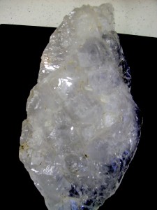 alligator quartz