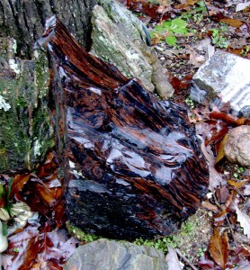 Mahogany Obsidian