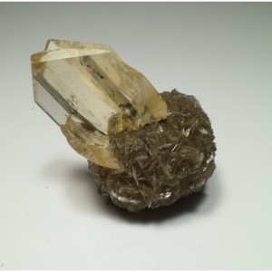 Winnipeg Selenite rose