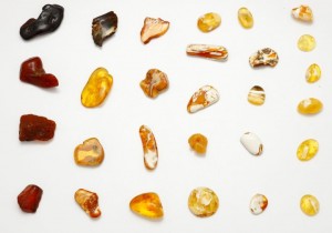 Unique colors of Baltic amber. Polished stones.