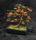 Bonsai Tree