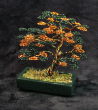 Bonsai Tree