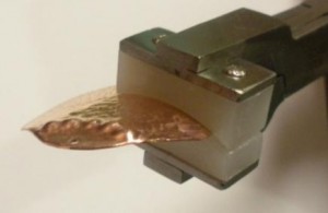 clam11