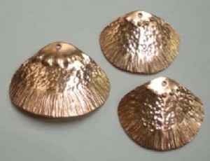 clam13