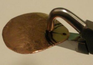 clam8